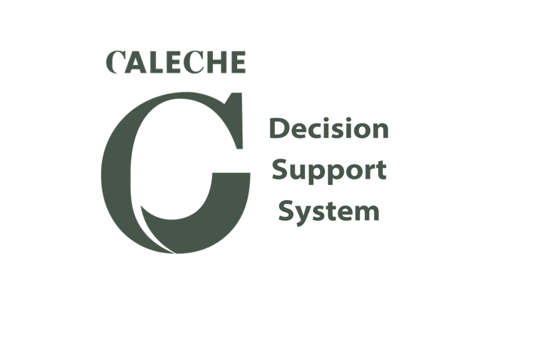 CALECHE Decision- support system activities