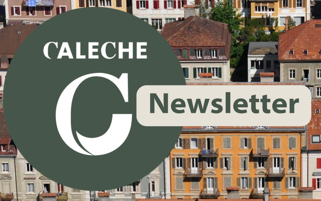 CALECHE Newsletter 2 – November 2025